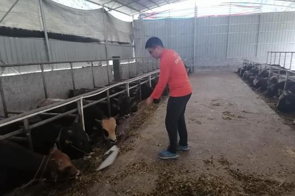 20201113_035706_505.jpg 06_副本.jpg