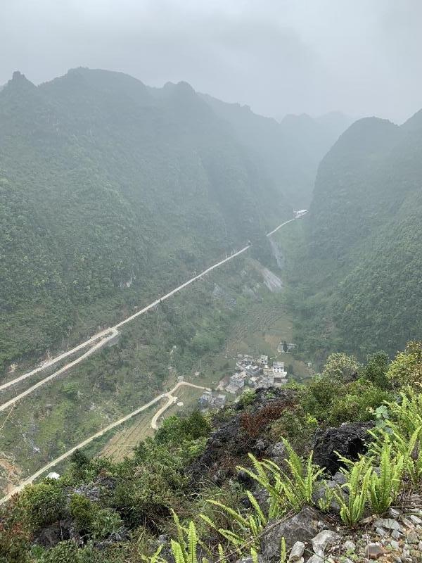 20201113_035911_268.jpg 02.jpg