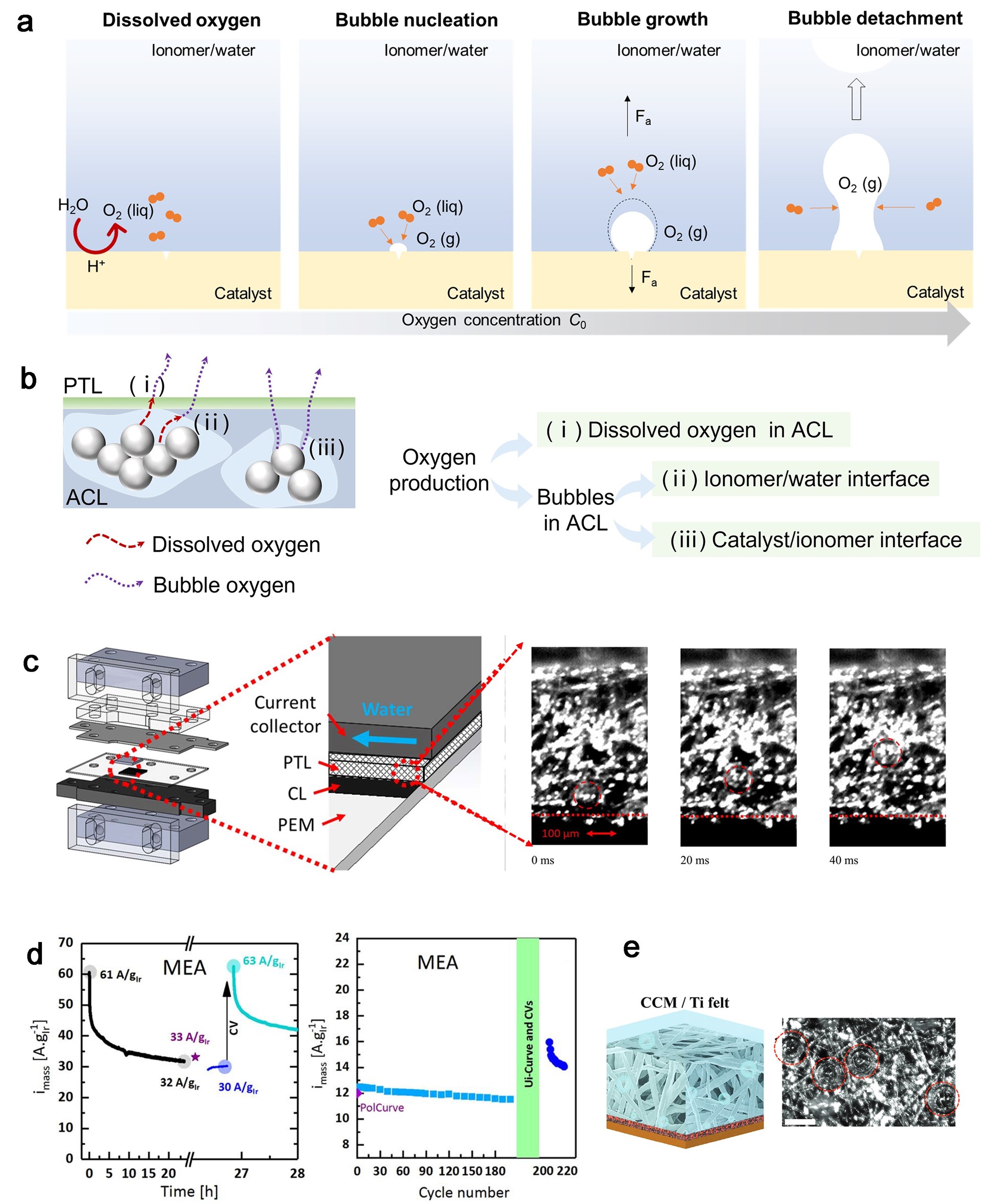 1746525757507214.jpg 图片4.jpg