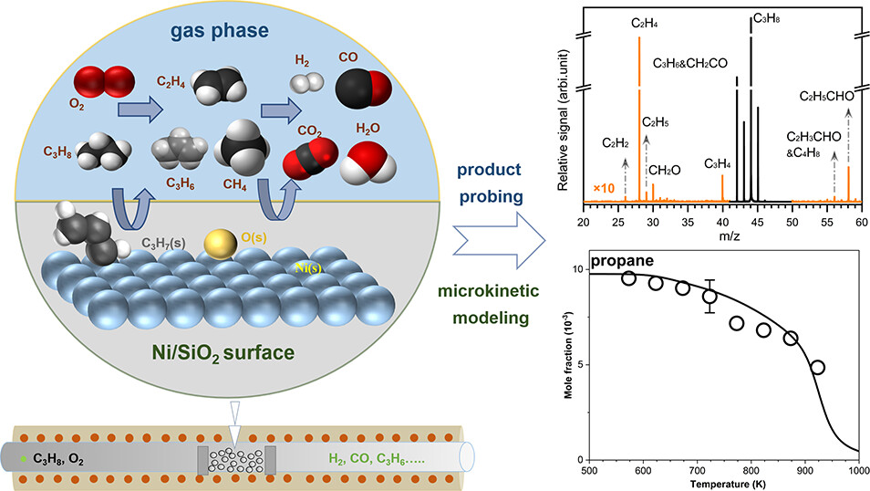 1748310245221398.jpeg images_large_cs4c06267_0013.jpeg