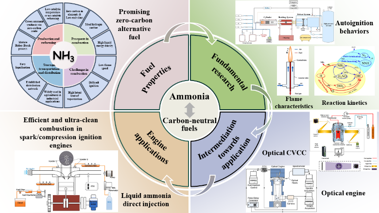 1756117297252184.png 6.png