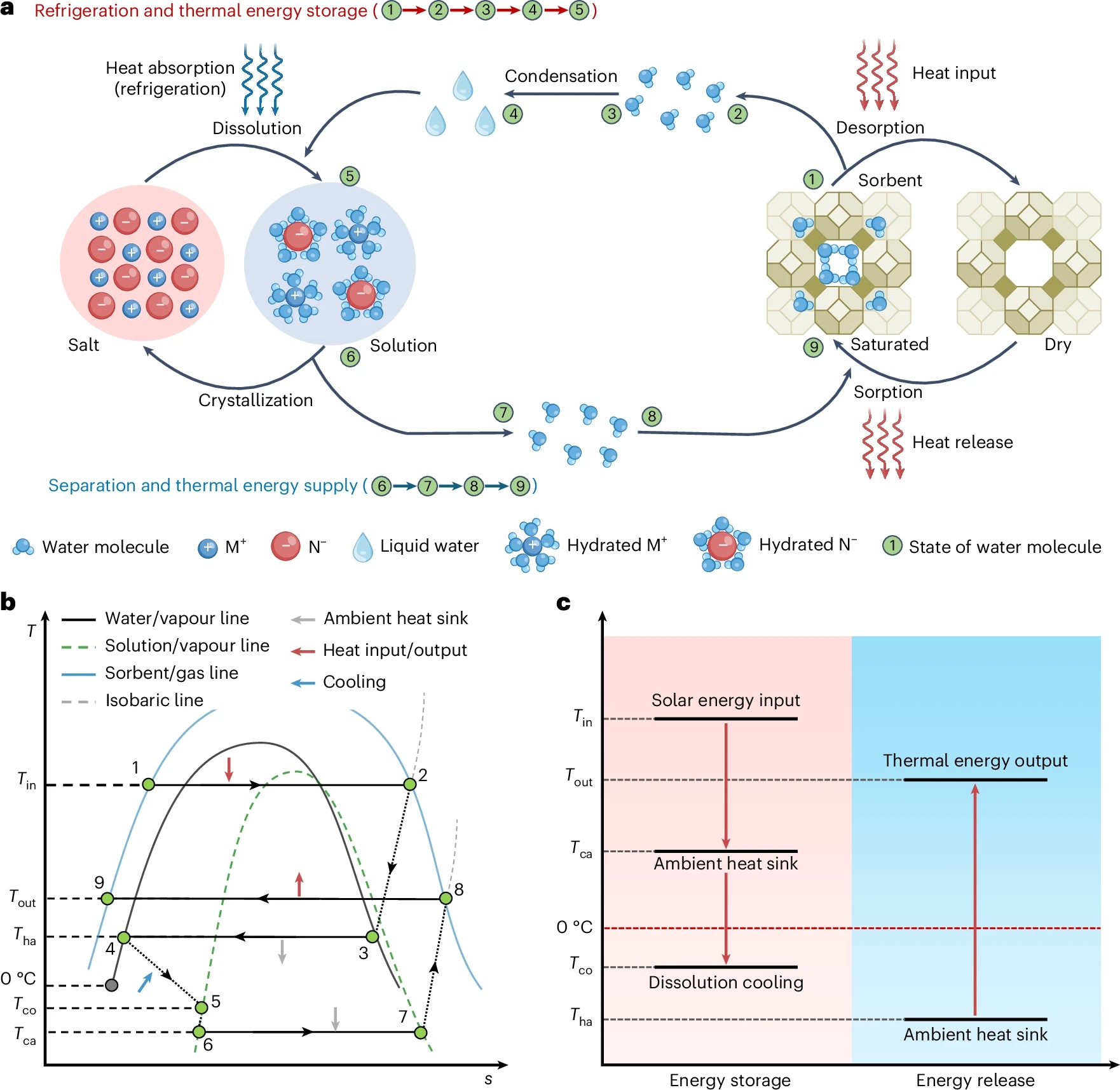 1773301983450783.jpg 41560_2026_1992_Fig1_HTML_副本.jpg